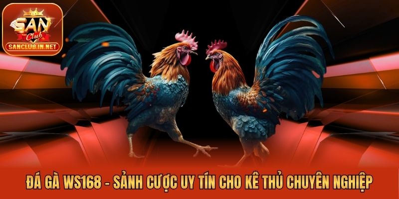 Đá Gà WS168 - Sảnh Cược Uy Tín Cho Kê Thủ Chuyên Nghiệp