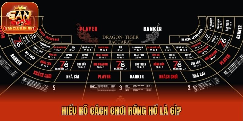 Hiểu rõ cách chơi Rồng Hổ là gì?