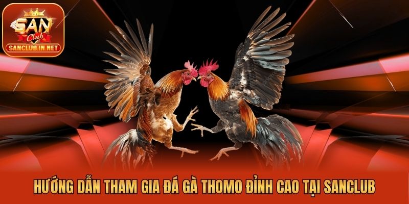 Hướng Dẫn Tham Gia Đá Gà Thomo Đỉnh Cao Tại Sanclub