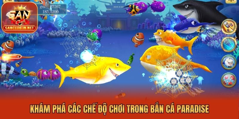 Khám phá các chế độ chơi trong bắn cá Paradise