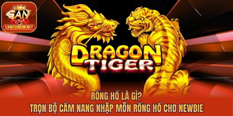 Rồng Hổ Là Gì? Trọn Bộ Cẩm Nang Nhập Môn Rồng Hổ Cho Newbie