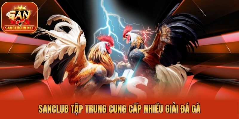 Sanclub tập trung cung cấp nhiều giải đá gà
