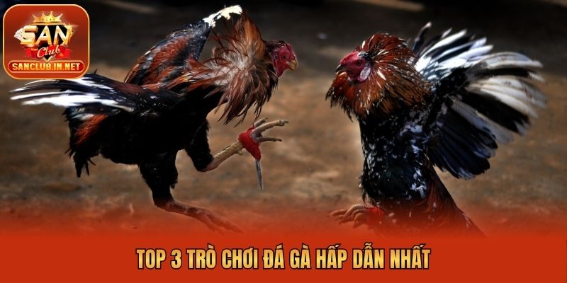 Top 3 trò chơi đá gà hấp dẫn nhất
